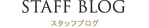 スタッフブログ