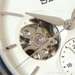 SARJ007
