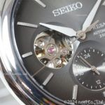 SARJ009