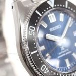 SBDC165