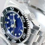 SBGX337