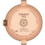 T1260103601300