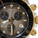 T1202172206100
