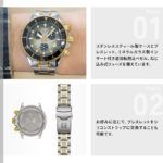 T1202172206100
