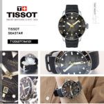 T1206071744101