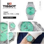 T1374071109101